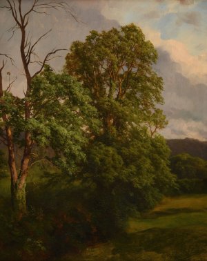 Les Chenes by Jacques-Raymond Brascassat Oil Painting