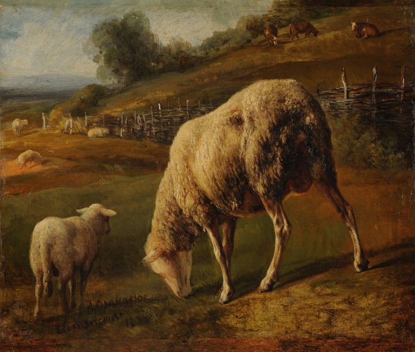 Moutons et brebis au paturage  by Jacques-Raymond Brascassat - Hand-Painted Oil Painting Reproduction