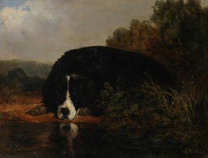 Pluton, chien favori du maitre by Jacques-Raymond Brascassat Oil Painting