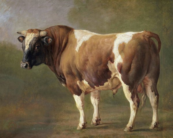 Study of a Bull  by Jacques-Raymond Brascassat - Hand-Painted Oil Painting Reproduction