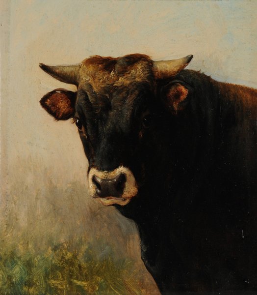 Tete de boeuf noir by Jacques-Raymond Brascassat - Hand-Painted Oil Painting Reproduction