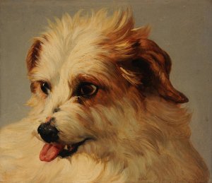 Tete de chien blanc tirant la langue by Jacques-Raymond Brascassat Oil Painting