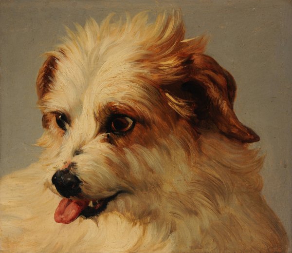Tete de chien blanc tirant la langue by Jacques-Raymond Brascassat - Hand-Painted Oil Painting Reproduction