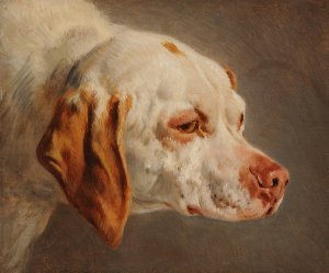 Tete de chien de chasse blanc et brun by Jacques-Raymond Brascassat Oil Painting