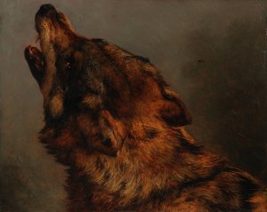 Tete de loup by Jacques-Raymond Brascassat Oil Painting