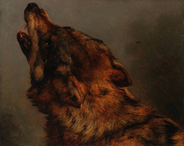 Tete de loup  by Jacques-Raymond Brascassat - Hand-Painted Oil Painting Reproduction