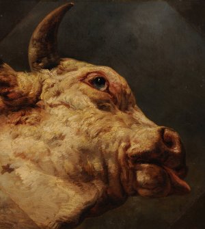 Tete de taureau by Jacques-Raymond Brascassat Oil Painting