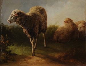 Trois moutons by Jacques-Raymond Brascassat Oil Painting