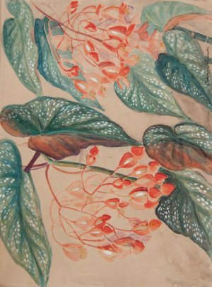 Begonie by Jadwiga Galezowska Oil Painting