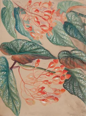 Begonie by Jadwiga Galezowska Oil Painting