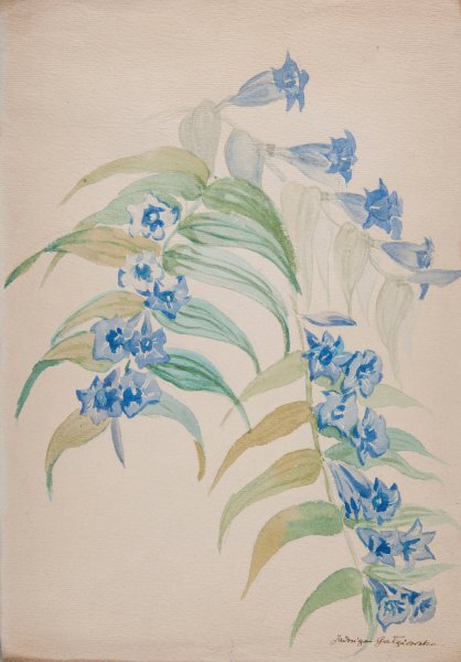 Twigs with blue flowers  by Jadwiga Galezowska - Hand-Painted Oil Painting Reproduction