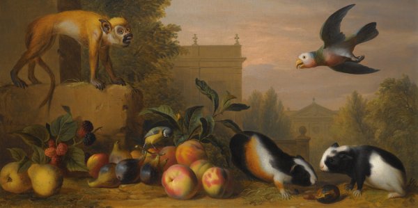 Main Product Photo of An Extensive Landscape With A Capuchin Squirrel Monkey, Two Guinea Pigs, A Blue Tit And An Amazon St. Vincent Parrot Painting by Jakob Bogdany