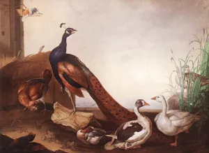 Peacock with Geese and Hen by Jakob Bogdany - Oil Painting Reproduction