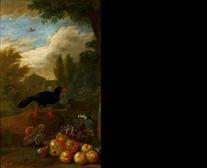 Two Macaws, a Cockatoo and a Jay, with Fruit by Jakob Bogdany Oil Painting