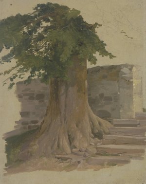 Alter Baum an einem Mauerstuck by Jakob Becker Oil Painting