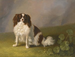 Portrait Of A King Charles Spaniel In A Landscape by Jakob Philipp Hackert Oil Painting
