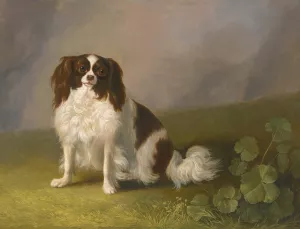 Portrait Of A King Charles Spaniel In A Landscape by Jakob Philipp Hackert Oil Painting
