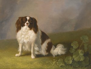 Portrait Of A King Charles Spaniel In A Landscape by Jakob Philipp Hackert Oil Painting