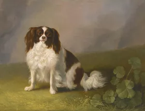 Portrait Of A King Charles Spaniel In A Landscape by Jakob Philipp Hackert Oil Painting