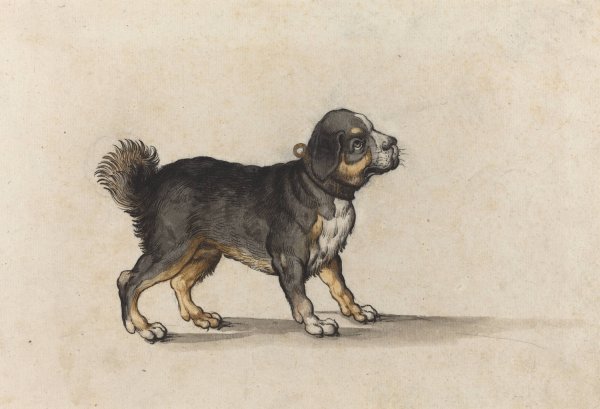 Main Product Photo of A Mastiff with a Gold-Tooled Collar Painting by Jakob Walther