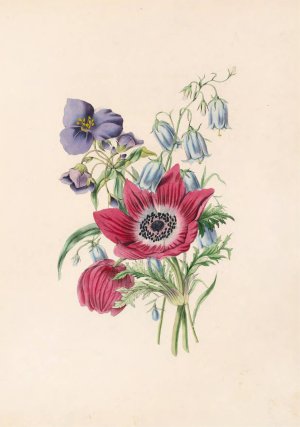 Anemone, Harebell, Spiderwort by James Ackerman Oil Painting
