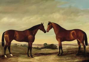 Pair of Horses by James Clark Oil Painting
