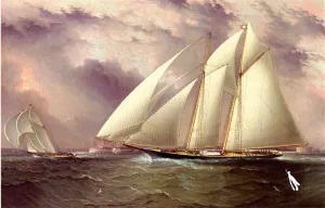 Schooner Racing off New York Harbor by James E Buttersworth Oil Painting