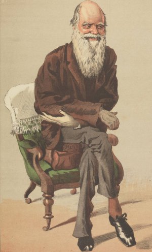 Vanity Fair Men of the Day, No. 33, Natural Selection by James Tissot Oil Painting