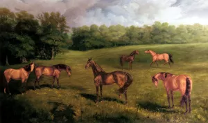 The Duke Of Portland's Stallions At Welbeck Stud by James Lynwood Palmer Oil Painting