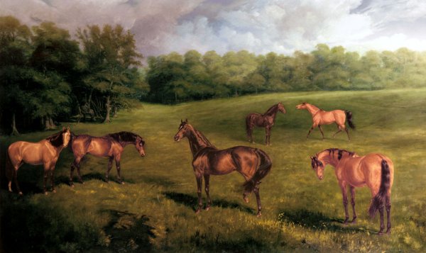 The Duke Of Portland's Stallions At Welbeck Stud by James Lynwood Palmer - Hand-Painted Oil Painting Reproduction