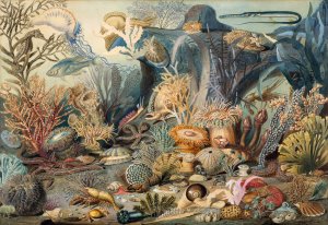 Ocean Life Oil painting by James M. Sommerville