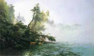 Misty Morning on Racket Lake Oil painting by James Mcdougal Hart