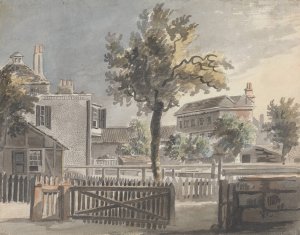 Tree Amidst Houses by James Miller Oil Painting
