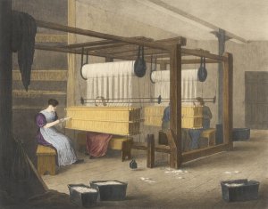 Progress of Cotton; #9 - Reeding or drawing in by James Richard Barfoot Oil Painting