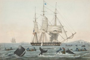 South Sea Whale Fishery by James S. Baillie Oil Painting