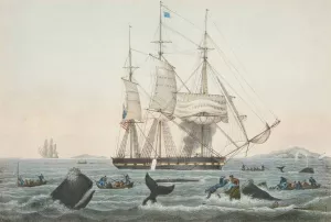 South Sea Whale Fishery Oil painting by James S. Baillie