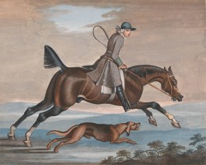 Foxhunting by James Seymour Oil Painting