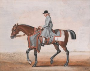 Lord Godolphin's White Foot, a Very Famous Horse That Was Never Beat by James Seymour Oil Painting