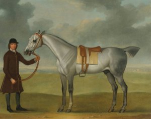 Mr. Thomas Panton's Crab, A Grey Racehorse, Being Held By A Groom On Newmarket Heath by James Seymour Oil Painting