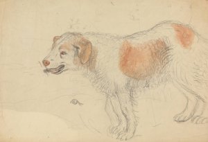 A Dog 3 by James Sowerby Oil Painting