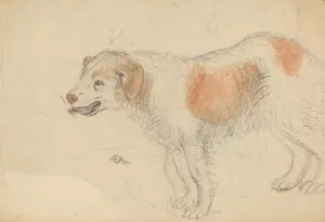 A Dog 3 by James Sowerby Oil Painting