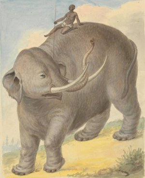 Elephant with Rider by James Sowerby Oil Painting