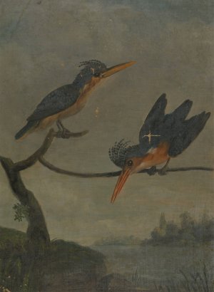 Two Kingfishers beside a Lake by James Sowerby Oil Painting