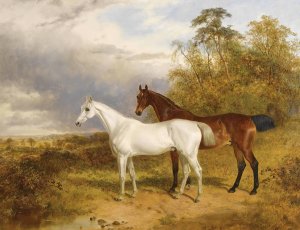 A Bay And Grey Horse In A Landscape by James Walsham Baldock Oil Painting