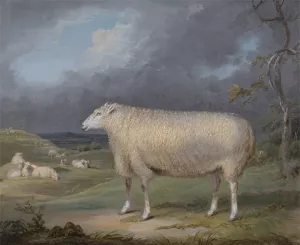 A Border Leicester Ewe by James Ward Oil Painting