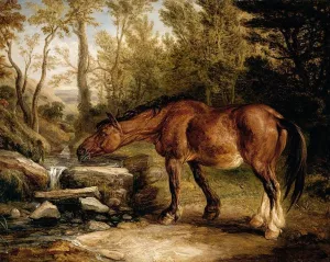 A Horse Drinking at a Stream painting by James Ward