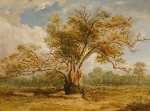 An oak tree in Richmond Park with a herd of fallow deer beside it by James Ward Oil Painting