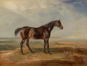 Dr. Syntax, a Bay Racehorse, Standing in a Coastal Landscape, an Estuary Beyond by James Ward Oil Painting