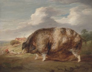 Gloucestershire Old Spot by James Ward Oil Painting