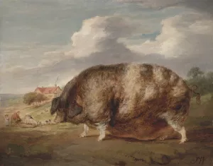 Gloucestershire Old Spot by James Ward Oil Painting